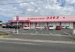 ディスカウントドラッグコスモス池田店の画像