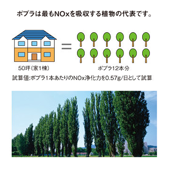 光セラの大気浄化能力は、50坪でポプラ12本分